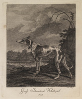 KG 01073
          <br/>
          Entwurf einiger Thiere. Erster Theil. (18 bladen)
          <br/>
          <em>Ridinger, Johann Elias (1698-1767)</em>
